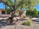 Charming single-story home with mature landscaping, sidewalk, and a welcoming front door at 4420 Avondale Ave, Las Vegas, NV 89121