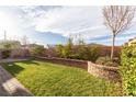 Manicured backyard featuring a retaining wall, lush lawn, mature landscaping, and ample space for relaxation at 16 Cresta Villa Ct, Henderson, NV 89011
