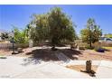 Large backyard featuring mature trees, a basketball hoop, and outdoor seating at 997 N Christy Ln, Las Vegas, NV 89110