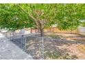 Spacious fenced front yard with mature trees providing shade and privacy at 4100 Montebello Ave, Las Vegas, NV 89110