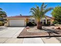 Well-maintained single-story home features a tidy front yard with a lush palm tree and desert landscaping at 8705 Orvieto Dr, Las Vegas, NV 89117