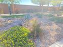 Beautiful landscaping with colorful yellow flowers and desert flora at 9138 Hermosa Valley St, Las Vegas, NV 89178