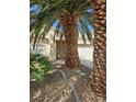 Charming single-story home with desert landscaping and mature palm trees in the front yard at 5305 Bright Sun Ct, Las Vegas, NV 89130