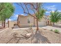 Well-maintained home showcasing the desert landscaping at 6705 Frances Celia Ave, Las Vegas, NV 89122