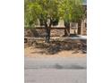 Stone veneer house with green tree and metal gate in front yard at 3910 Internet Ave, North Las Vegas, NV 89031