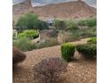 Backyard landscape with rock groundcover, mature trees and mountain views at 32 Via Vasari # 103, Henderson, NV 89011