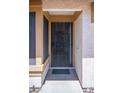 Close-up of the front door, showcasing a secure metal screen door at 684 Whispering Palms Dr, Las Vegas, NV 89123