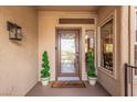 Inviting front entryway features a decorative glass door and manicured topiaries at 10713 Shoalhaven Dr, Las Vegas, NV 89134