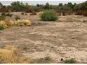 The expansive lot showcases the natural terrain, ready for customization and development at 810 Catherine Ave, Overton, NV 89040