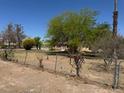 Large yard is enclosed by a chain link fence, offering a secure outdoor space at 810 Catherine Ave, Overton, NV 89040