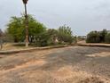 View of a large yard with mature trees offering shade and privacy at 810 Catherine Ave, Overton, NV 89040