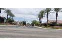 Wide street view leading to a charming neighborhood with lush landscaping and palm trees at 10015 Wonderful Day Dr, Las Vegas, NV 89148