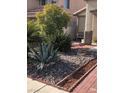 Attractive front yard landscaping featuring rock features, trees, and well-maintained shrubbery at 6030 Halehaven Dr, Las Vegas, NV 89110
