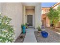 Inviting front entry with textured walls, decorative plants, and a secure screen door for added curb appeal at 756 Arden Valley Ave, Henderson, NV 89011