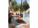 Landscaped pool area featuring garden areas, walkway, palm tree, with benches in a well-maintained community at 809 Rock Springs Dr # 202, Las Vegas, NV 89128