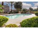 Outdoor community pool surrounded by lush greenery and palm trees on a bright sunny day at 5114 S Jones Blvd # 202, Las Vegas, NV 89118