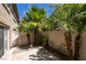 Cozy backyard surrounded by palm trees and cinderblock wall offering privacy at 7732 Almeria Ave, Las Vegas, NV 89128