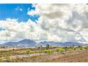 Scenic mountain views and desert landscape in a vibrant neighborhood at 1964 Oliver Springs St, Henderson, NV 89052
