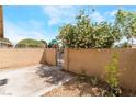 Backyard patio with block fence, metal gate, and mature flowering tree at 2261 Tall Pine Dr, Las Vegas, NV 89108
