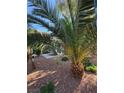 View of building with landscaped front yard and palm trees at 520 Elm Dr # 202, Las Vegas, NV 89169