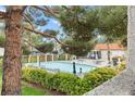 View of community pool with green foliage and shade trees at 101 Luna Way # 222, Las Vegas, NV 89145