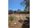 A large fenced in backyard at 626 Kimberly Ave, Pahrump, NV 89060