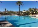 A pristine community pool on a bright sunny day, surrounded by mature palm trees at 4552 Largo Cantata St, Las Vegas, NV 89135