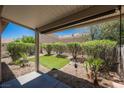 Covered patio overlooks a meticulously landscaped backyard with artificial turf and mature desert plants at 7957 Fantail Dr, North Las Vegas, NV 89084