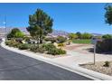 Scenic community park with lush greenery, mature trees, picnic benches and views of distant mountains at 8247 Oasis Bloom St, North Las Vegas, NV 89085
