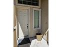 Close-up of the home's front door entrance featuring a potted plant at 8345 Mozley Park St, Las Vegas, NV 89113