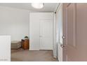Entryway with carpet, storage and a paneled front door and sidelight at 3360 Cactus Shadow St # 203, Las Vegas, NV 89129