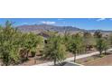 Overhead view of the community with homes, trees, and a mountain range in the background at 7380 Abundant Harvest Ave, Las Vegas, NV 89131