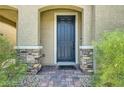 Stylish front entrance with stone accents and a modern door at 10271 Bark Pine Ct, Las Vegas, NV 89166