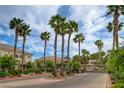 Community entrance with palm trees and attractive gate at 10525 Pine Glen Ave # 206, Las Vegas, NV 89144