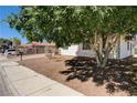 Street view of a well-kept single-Gathering home with a mature shade tree at 1620 Yellow Rose St, Las Vegas, NV 89108