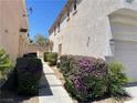 Beautifully landscaped walkway with lush greenery leading to the home's entrance at 9333 Leaping Deer Pl # 103, Las Vegas, NV 89178