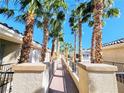 Scenic walkway lined with lush palm trees, providing a tranquil path through the well-maintained community at 7135 S Durango Dr # 314, Las Vegas, NV 89113