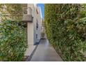Pathway leading to the home, flanked by lush greenery and decorative stone at 2672 Mystere Ct, Las Vegas, NV 89117