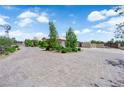 Wide driveway with brick pavers and lush landscaping leading to the home at 4455 W Ford Ave, Las Vegas, NV 89139