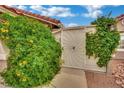 An elaborate metal gate adorned with lush green vines, adding a touch of elegance and privacy to the property at 9180 Mohawk St, Las Vegas, NV 89139