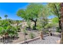 Spacious backyard view showcasing mature trees and lush desert landscaping at 10237 Andante Ct, Las Vegas, NV 89135