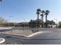 Street intersection featuring a landscaped median with palm trees and desert vegetation at 12243 Pacific Cruise Ave, Las Vegas, NV 89138