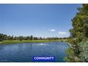 Scenic view of the community lake and beautiful landscaping providing a serene environment at 7365 Mission Hills Dr, Las Vegas, NV 89113