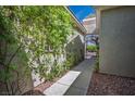 Exterior stone walkway lined with climbing greenery leading to a gated entrance for additional security and privacy at 5017 Kaibab Forest Ave, Las Vegas, NV 89141