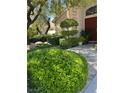Professionally landscaped front yard with a tiered tree and lush green shrubs leading to the front door at 1782 Castro Hill Ave, Henderson, NV 89012