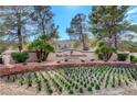 Sun City Summerlin community entrance with lush landscaping, decorative rock, and mature trees at 2805 Hanging Rock Dr, Las Vegas, NV 89134