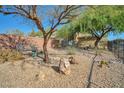 A large, well-maintained backyard with desert landscaping, a wrought iron fence and mature trees at 1740 Flores Ln, Henderson, NV 89012