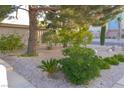 Landscaped front yard featuring mature trees, desert shrubs, and decorative rock ground cover at 2001 E Mcwilliams Ave, Las Vegas, NV 89101