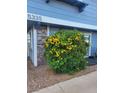A well-maintained residence with vinyl siding, lush flowering bushes, and manicured landscaping at 5335 Rod Ct # 102, Las Vegas, NV 89122