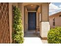Cozy front porch featuring a dark blue front door, plants, and bench, creating an inviting entryway at 820 Bernini St, Las Vegas, NV 89144